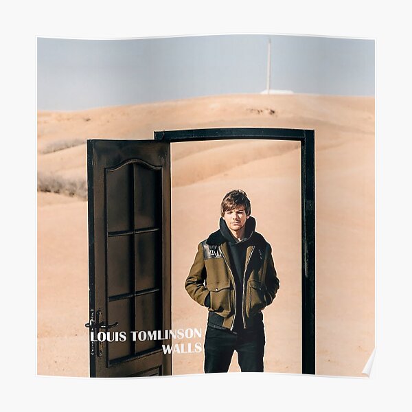 Dadang New Tomlinson Walls American Tour 2020 Póster