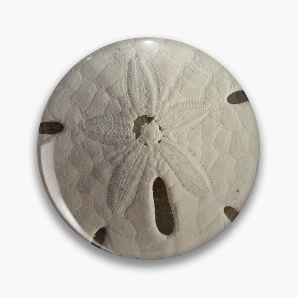 Item preview, Sand Dollar designed and sold by Anna Kellner.