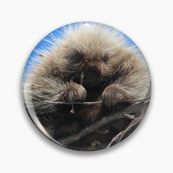 Item preview, Porcupine designed and sold by Anna Kellner.