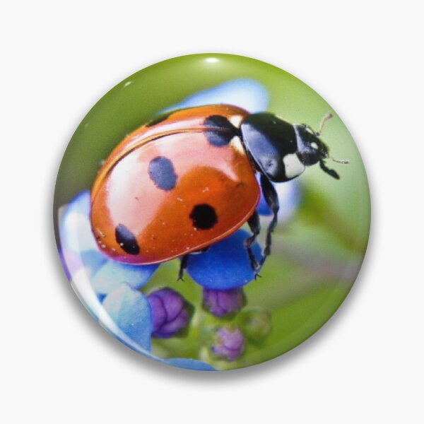 Item preview, A balancing act designed and sold by missmoneypenny.
