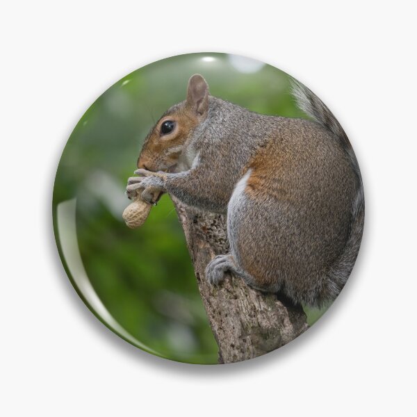 Item preview, European Ground Squirrel (Spermophilus citellus) designed and sold by JPopov.