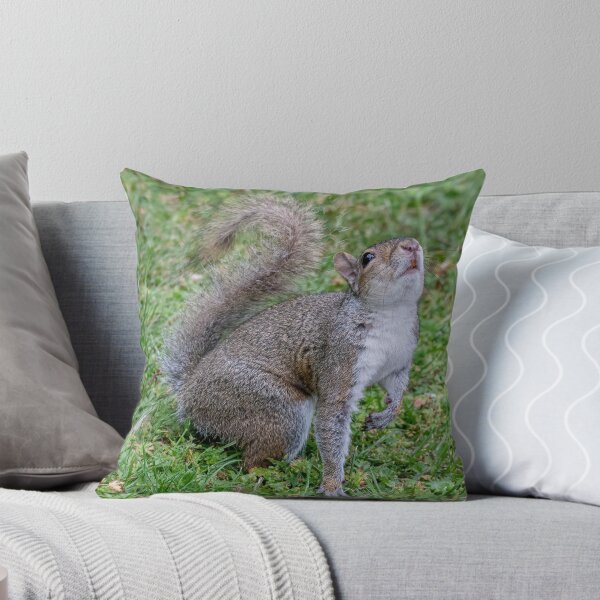 Item preview, European Ground Squirrel (Spermophilus citellus) designed and sold by JPopov.