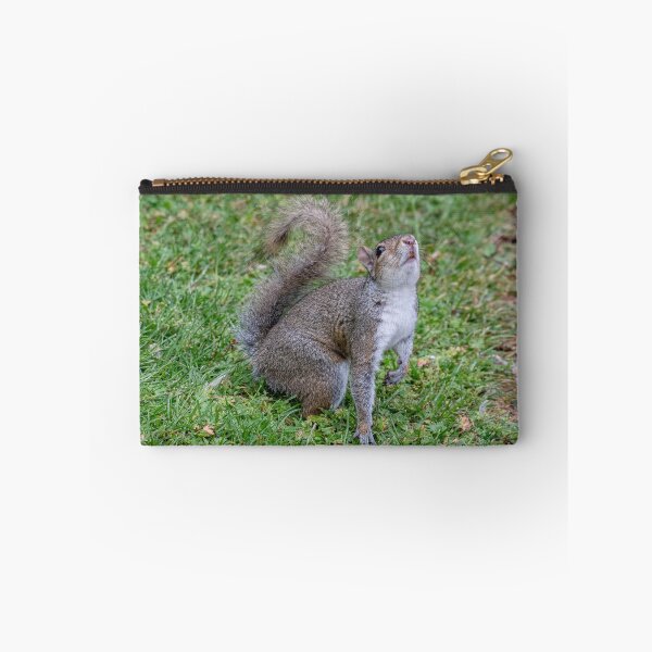 Item preview, European Ground Squirrel (Spermophilus citellus) designed and sold by JPopov.