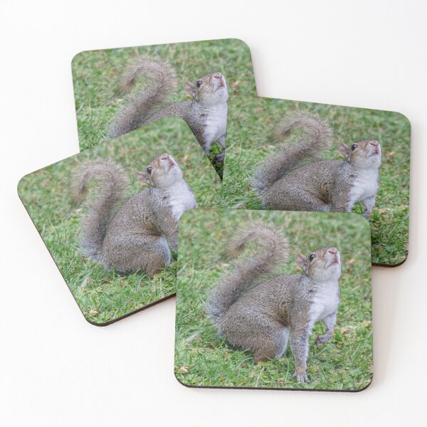 Item preview, European Ground Squirrel (Spermophilus citellus) designed and sold by JPopov.