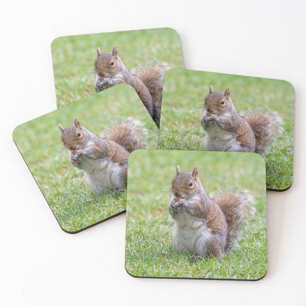 Item preview, European Ground Squirrel (Spermophilus citellus) designed and sold by JPopov.