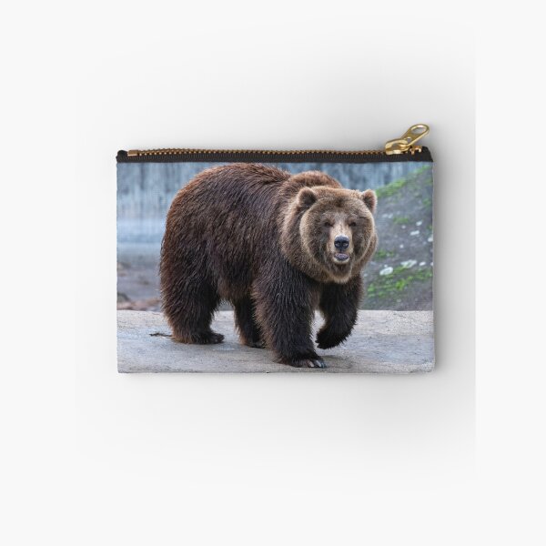 Item preview, Eurasian brown bear (Ursus  arctos) designed and sold by JPopov.