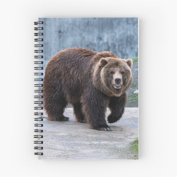 Item preview, Eurasian brown bear (Ursus  arctos) designed and sold by JPopov.