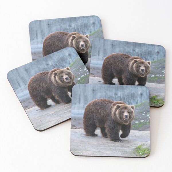 Item preview, Eurasian brown bear (Ursus  arctos) designed and sold by JPopov.