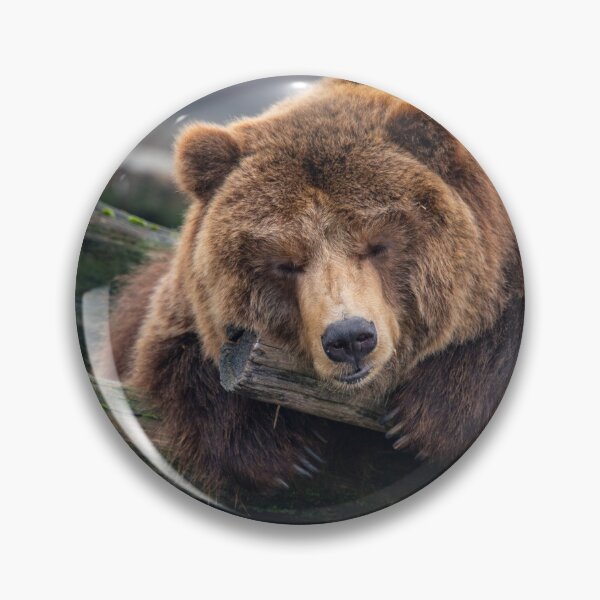 Item preview, Eurasian brown bear (Ursus  arctos) designed and sold by JPopov.