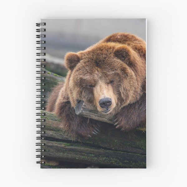 Item preview, Eurasian brown bear (Ursus  arctos) designed and sold by JPopov.