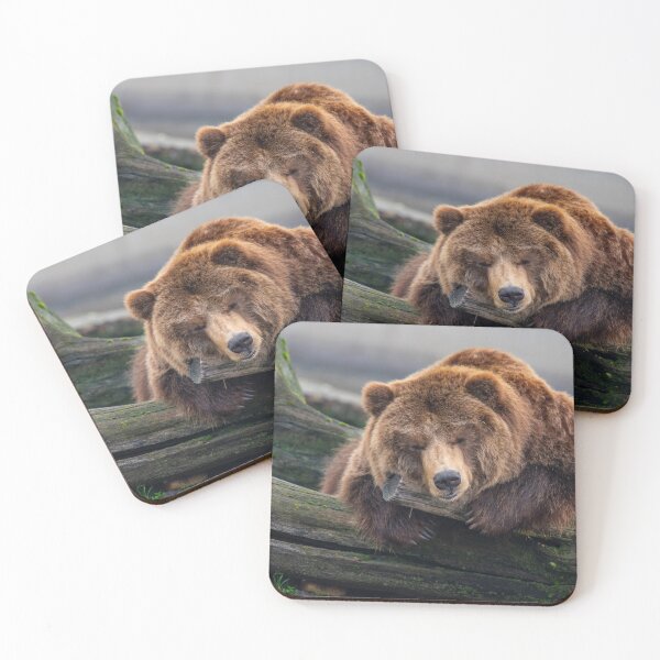 Item preview, Eurasian brown bear (Ursus  arctos) designed and sold by JPopov.