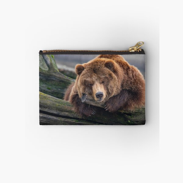 Item preview, Eurasian brown bear (Ursus  arctos) designed and sold by JPopov.