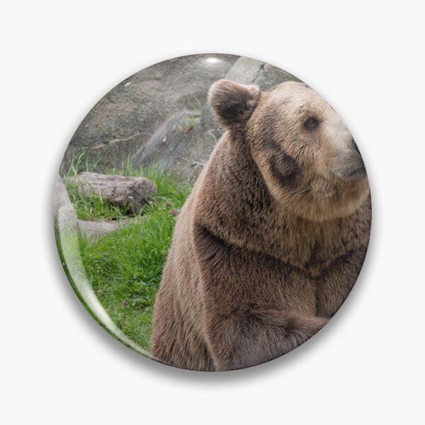 Item preview, Eurasian brown bear (Ursus  arctos) designed and sold by JPopov.
