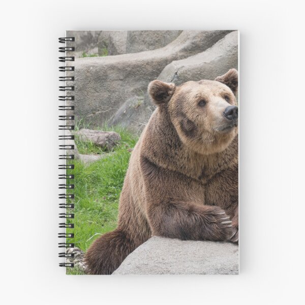 Item preview, Eurasian brown bear (Ursus  arctos) designed and sold by JPopov.
