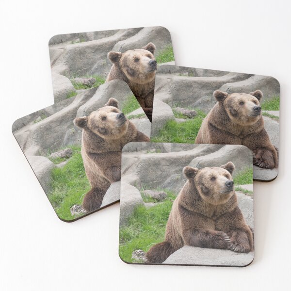 Item preview, Eurasian brown bear (Ursus  arctos) designed and sold by JPopov.