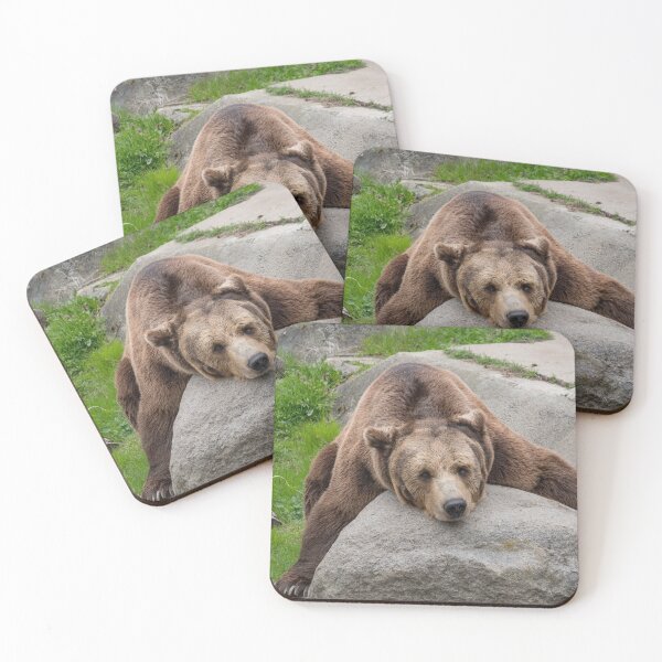 Item preview, Eurasian brown bear (Ursus  arctos)  designed and sold by JPopov.