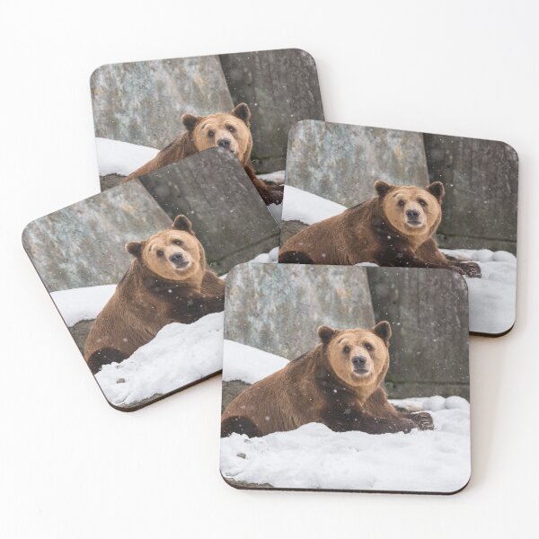 Item preview, Eurasian brown bear (Ursus  arctos)  designed and sold by JPopov.
