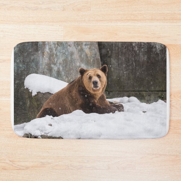 Item preview, Eurasian brown bear (Ursus  arctos)  designed and sold by JPopov.