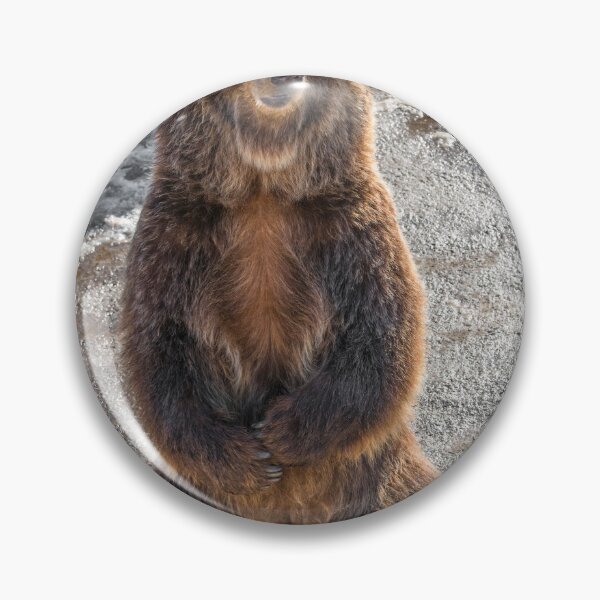 Item preview, Eurasian brown bear (Ursus  arctos)  designed and sold by JPopov.