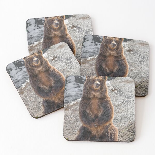 Item preview, Eurasian brown bear (Ursus  arctos)  designed and sold by JPopov.