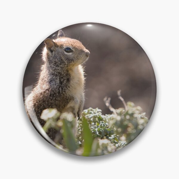 Item preview, Ground Squirrel with Wild Flowers designed and sold by Buckwhite.