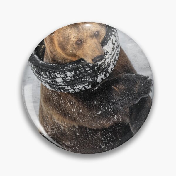 Item preview, Eurasian brown bear (Ursus  arctos) designed and sold by JPopov.