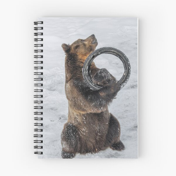 Item preview, Eurasian brown bear (Ursus  arctos) also known as the European brown bear designed and sold by JPopov.