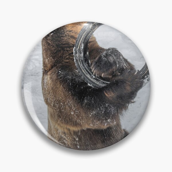Item preview, Eurasian brown bear (Ursus  arctos) also known as the European brown bear designed and sold by JPopov.