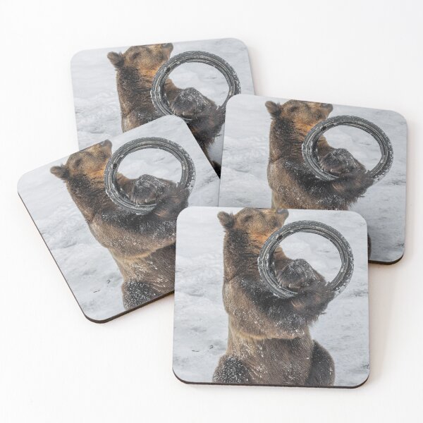 Item preview, Eurasian brown bear (Ursus  arctos) also known as the European brown bear designed and sold by JPopov.
