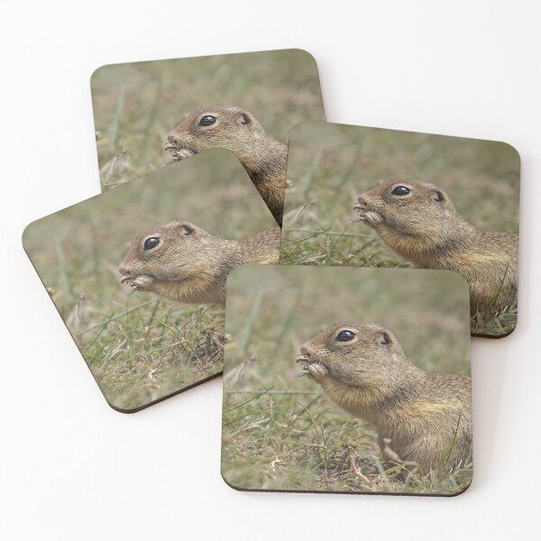 Item preview, European Ground Squirrel (Spermophilus citellus) designed and sold by JPopov.