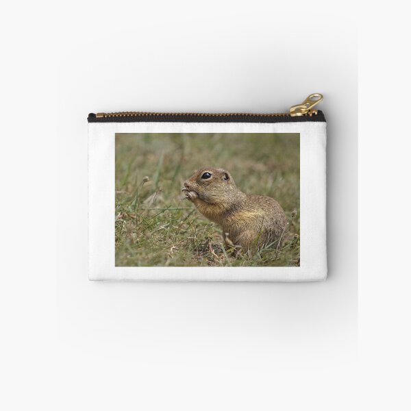 Item preview, European Ground Squirrel (Spermophilus citellus) designed and sold by JPopov.