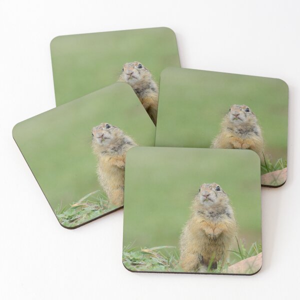 Item preview, European Ground Squirrel (Spermophilus citellus) designed and sold by JPopov.