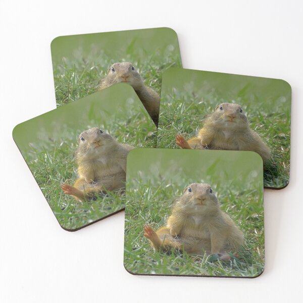 Item preview, European Ground Squirrel (Spermophilus citellus) designed and sold by JPopov.