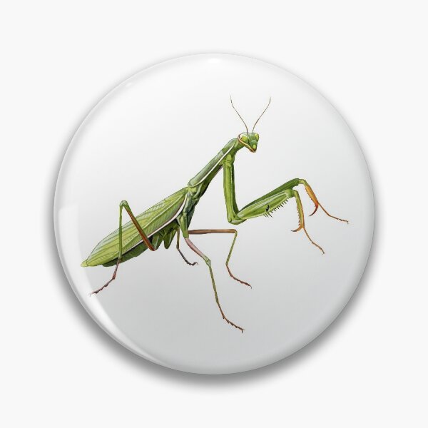 Item preview, Praying Mantis designed and sold by kokayart.