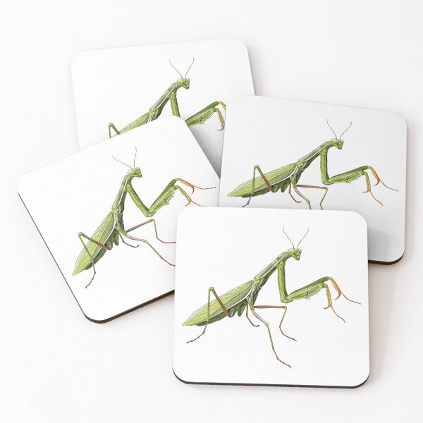 Item preview, Praying Mantis designed and sold by kokayart.