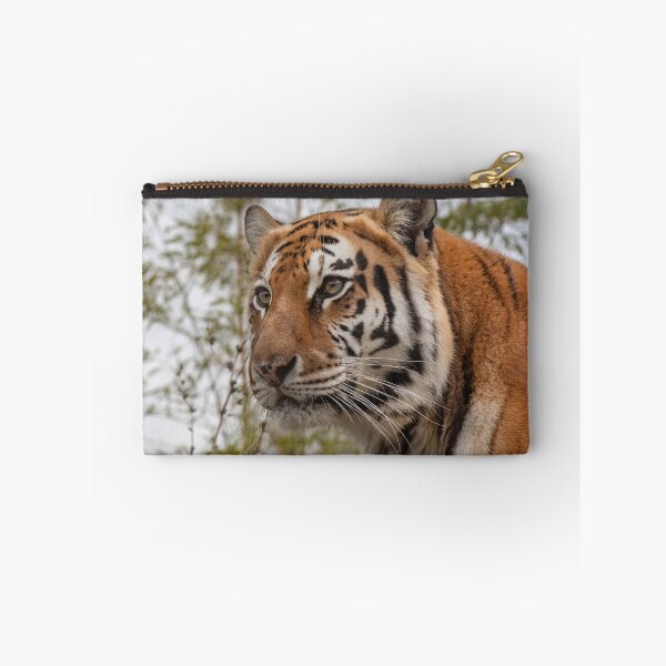 Item preview, Siberian tiger (Panthera tigris) also known as the Amur Tiger designed and sold by JPopov.