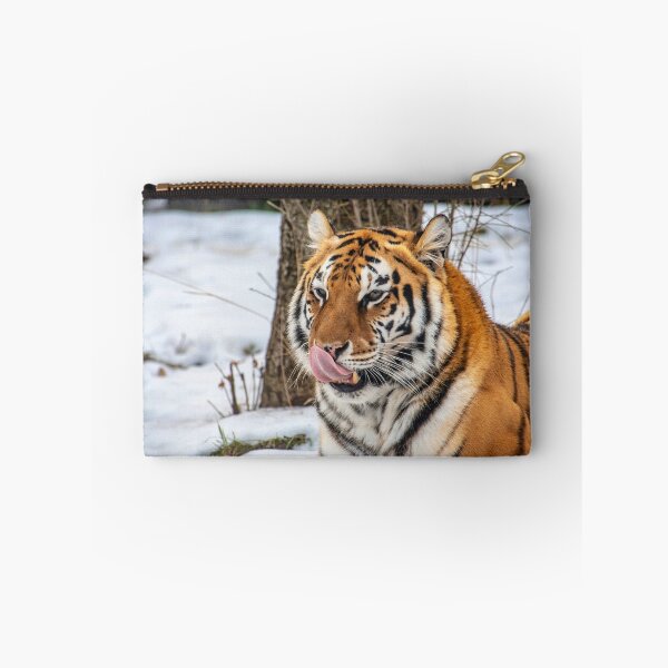 Item preview, Siberian tiger (Panthera tigris) also known as the Amur Tiger designed and sold by JPopov.
