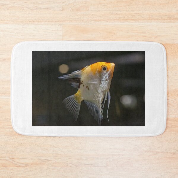 Item preview, Angelfish (Pterophyllum scalare), also known as the freshwater angelfish. designed and sold by JPopov.