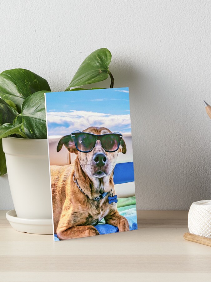 dog with glasses painting