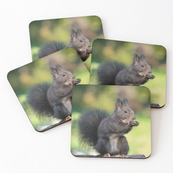 Item preview, Red squirrel sitting on a tree, forest squirrel (Sciurus vulgaris) designed and sold by JPopov.