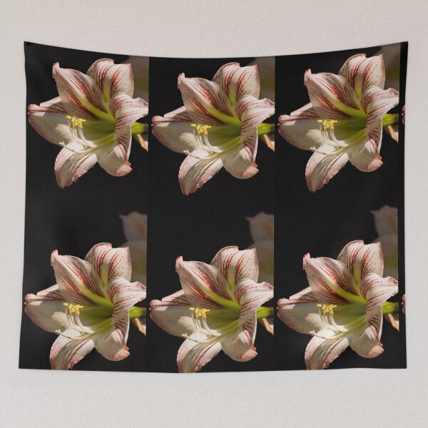 Item preview, Amaryllis in the dew designed and sold by Zina Stromberg.