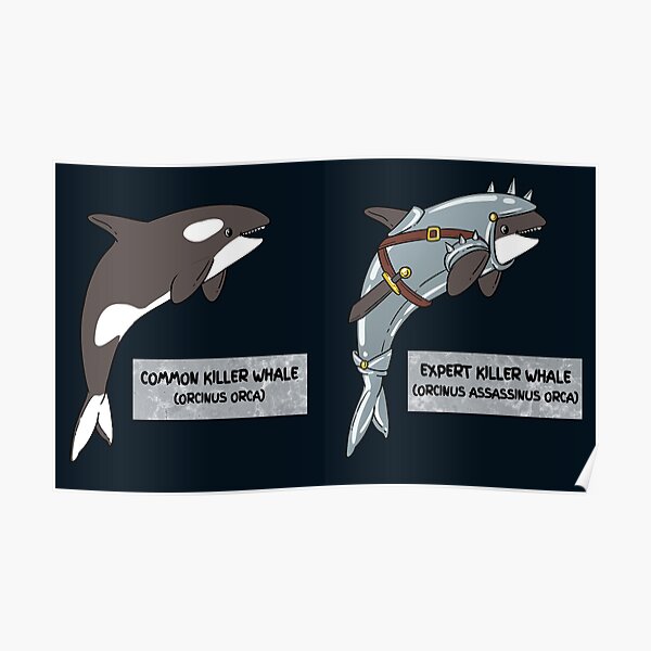 Whale Evolution Posters Redbubble - roblox dinosaur killer whale games