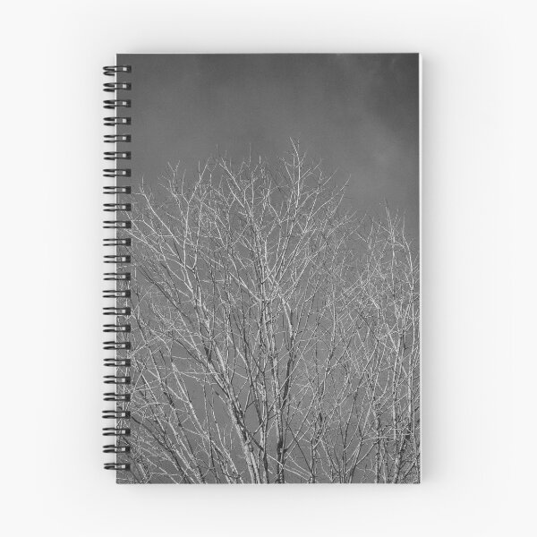 Item preview, Leafless Tree designed and sold by HectorCantres.