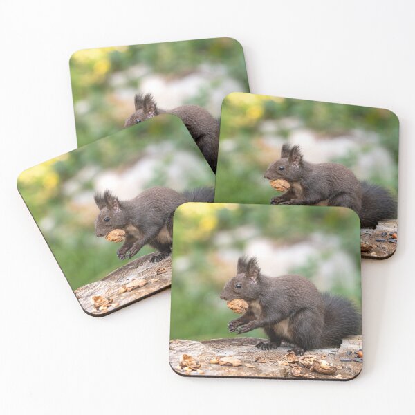 Item preview, Red squirrel sitting on a tree, forest squirrel (Sciurus vulgaris) designed and sold by JPopov.