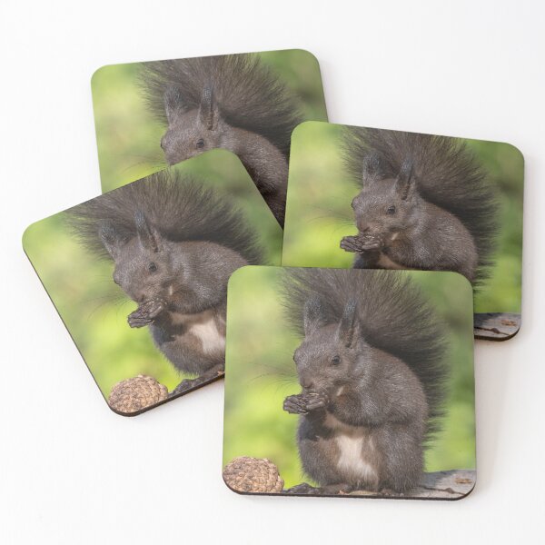 Item preview, Red squirrel sitting on a tree, forest squirrel (Sciurus vulgaris) designed and sold by JPopov.