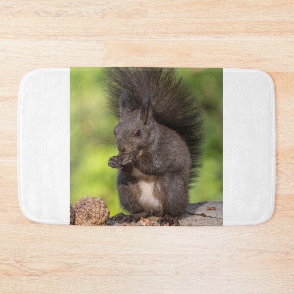 Item preview, Red squirrel sitting on a tree, forest squirrel (Sciurus vulgaris) designed and sold by JPopov.