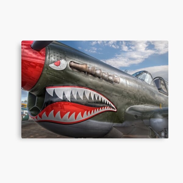Curtiss P-40 Kittyhawk Metal Print