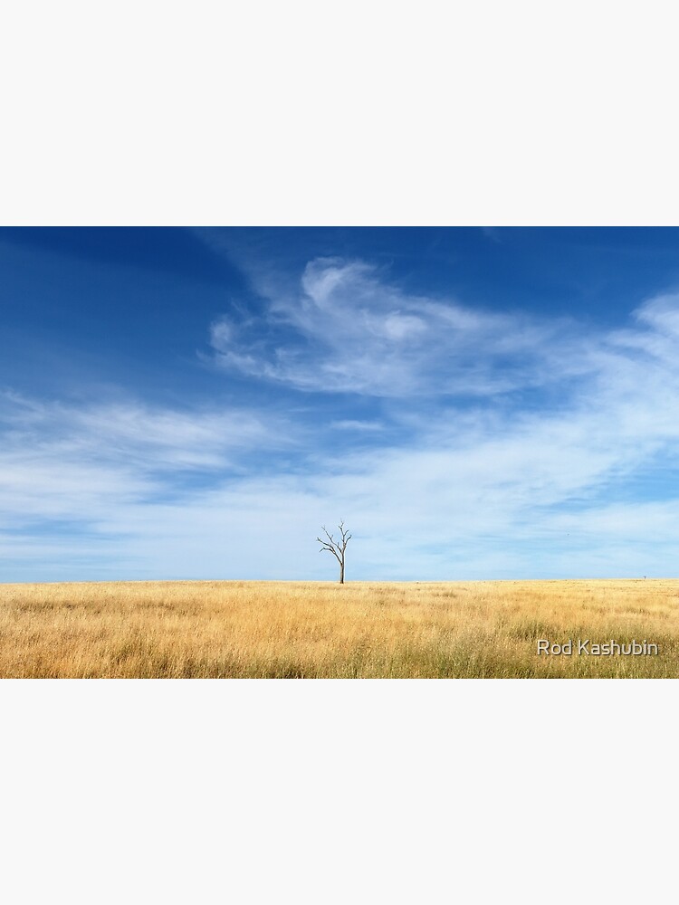 A Lone Tree by RodKashubin