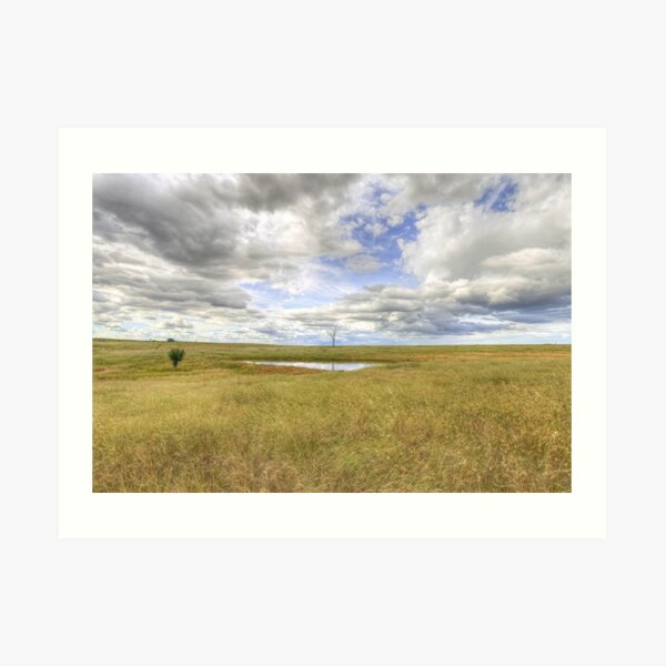 Rural New South Wales Art Print