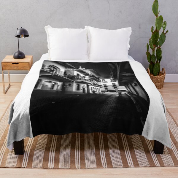 Item preview, Old Quarters of Panama - Casco Viejo de Panama designed and sold by Bernai Velarde.